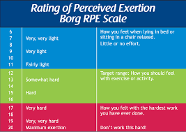 RPE scale